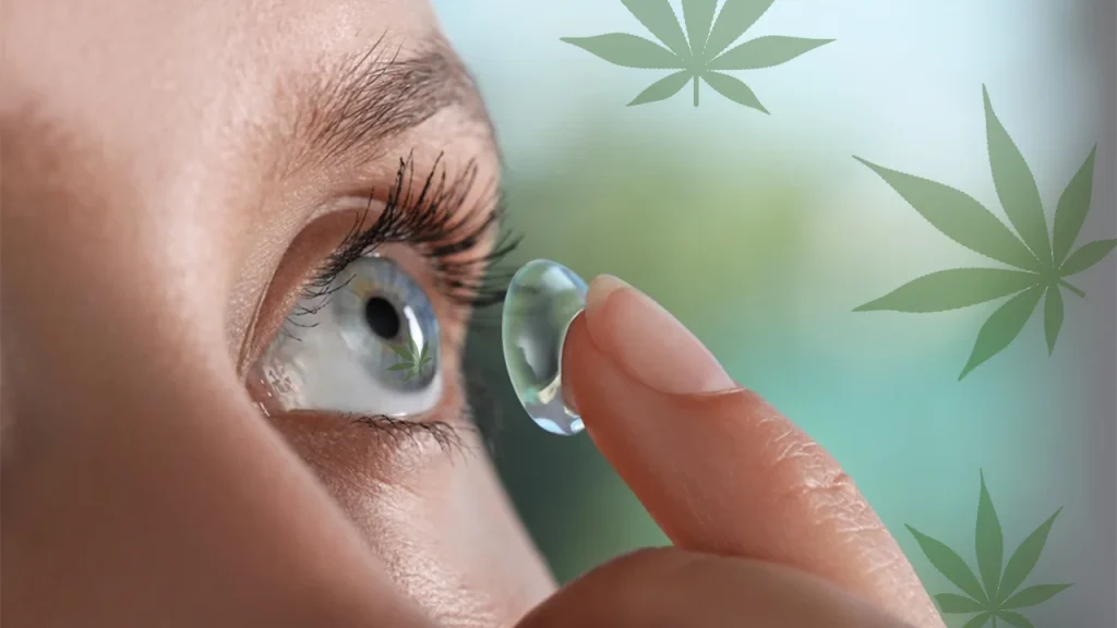CBD and Contact Lenses