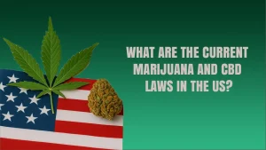 Marijuana and CBD Laws
