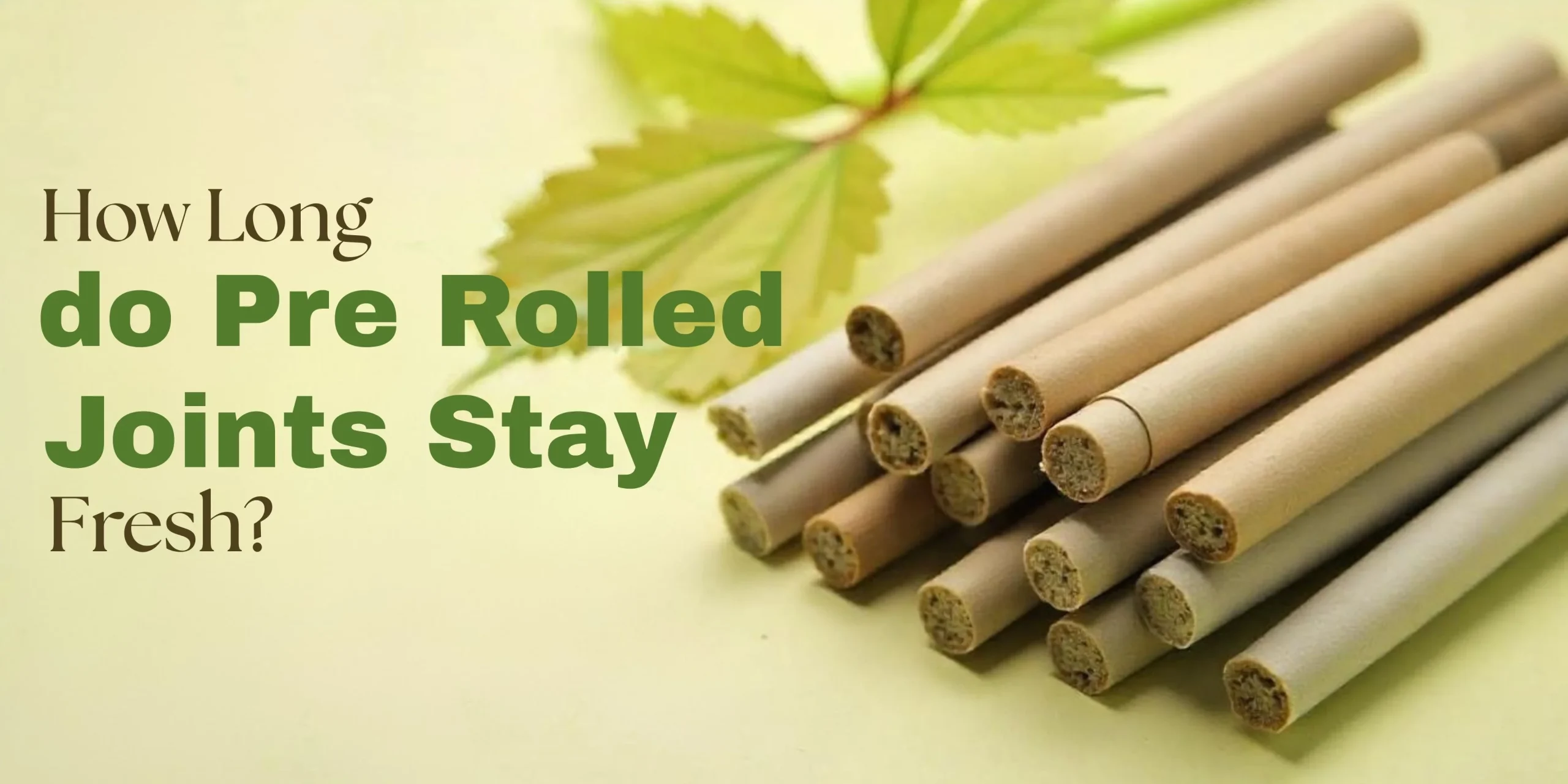 Pre-Rolled Joints
