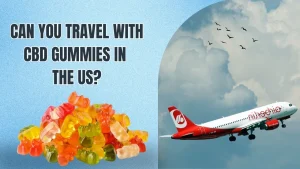 Traveling With CBD Gummies