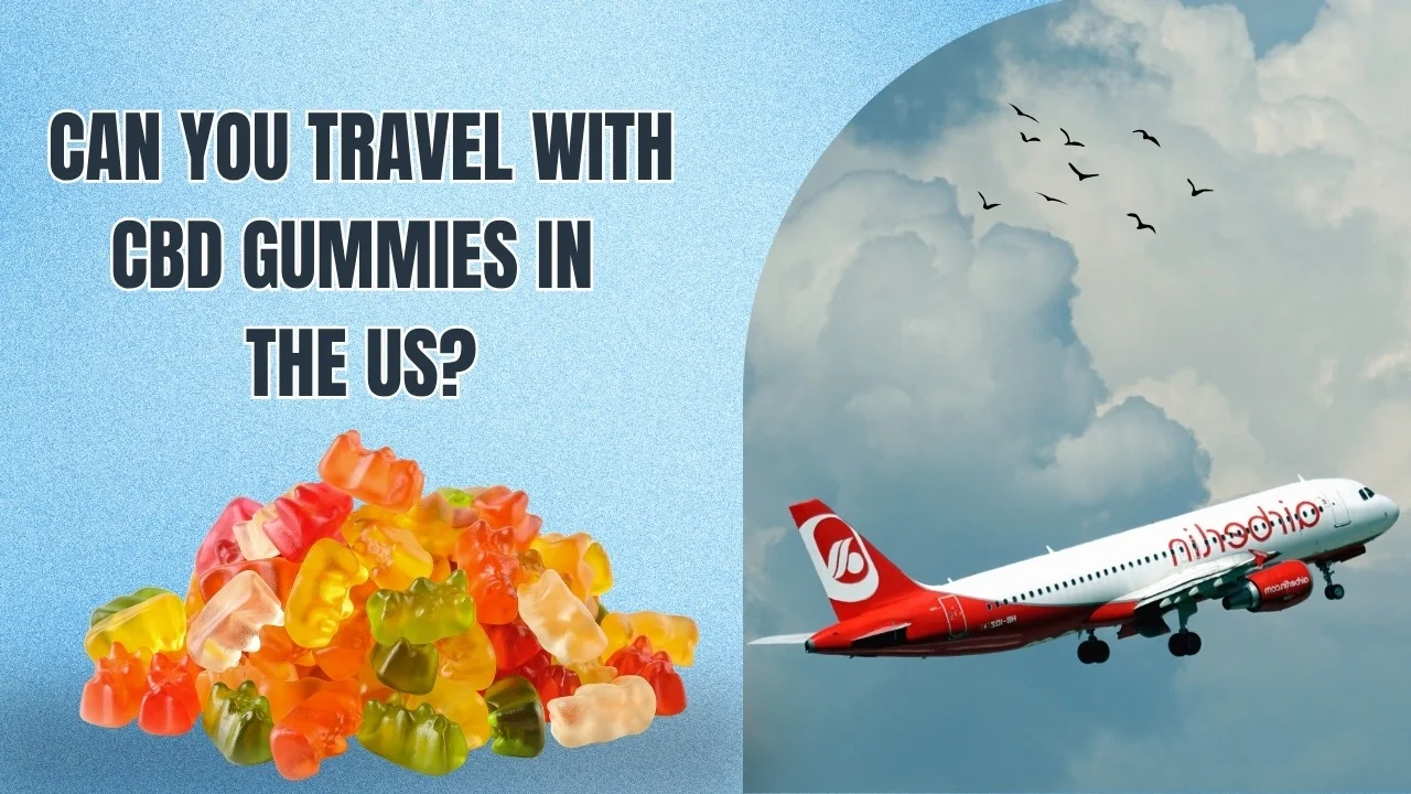 Traveling With CBD Gummies